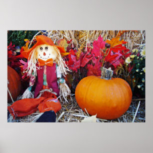 Poster Little Mister Scarecrow