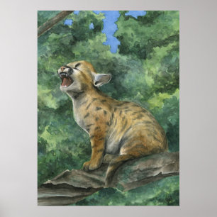 Poster Little Puma