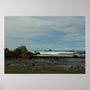 Poster Littoral Pacifique au Parc national de Redwood