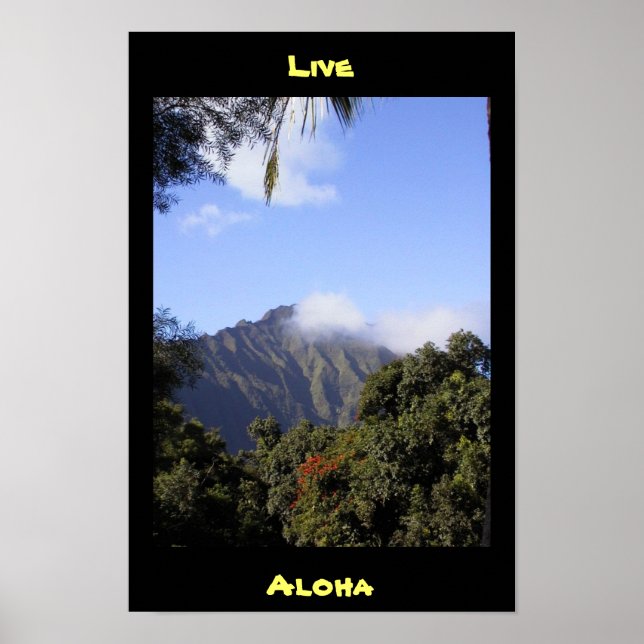Poster Live Aloha (Devant)