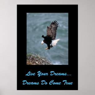 Poster Live Your Dreams