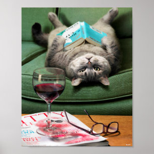 Poster Livre de lecture de chats en haut