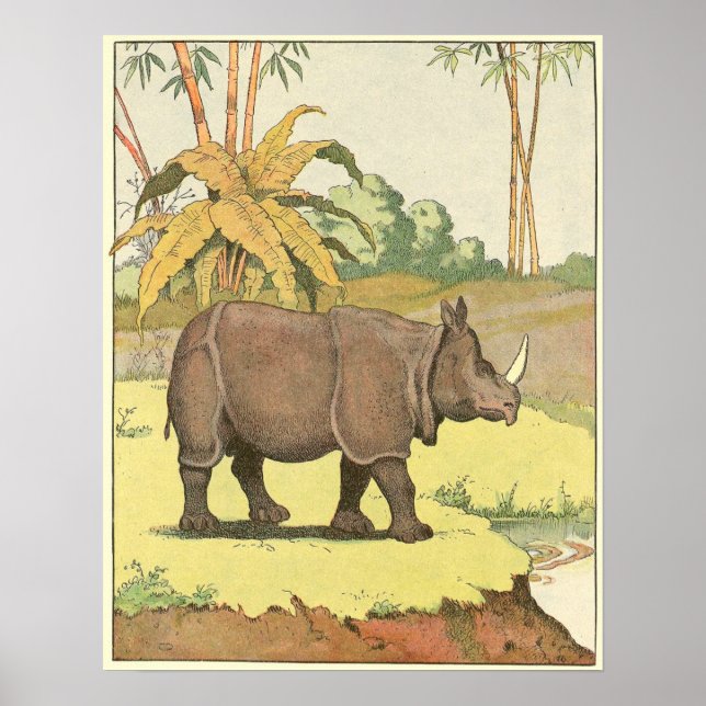Poster Livre d'histoire de Rhinoceros illustré (Devant)