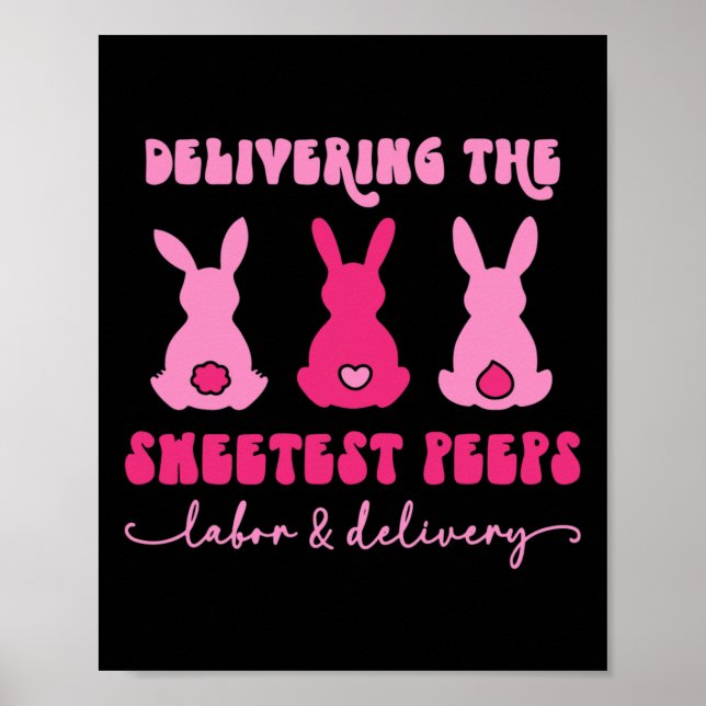 Poster Livrer Les Bunnies Les Plus Douces Nur De Livraiso (Devant)