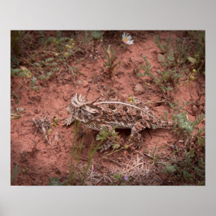 Poster Lizard à cornes