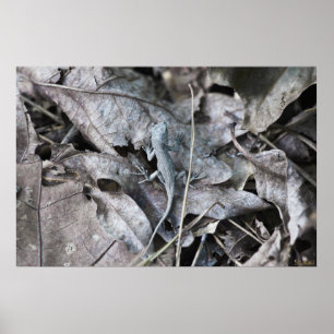 Poster Lizard dans le camouflage monochrome Feuille