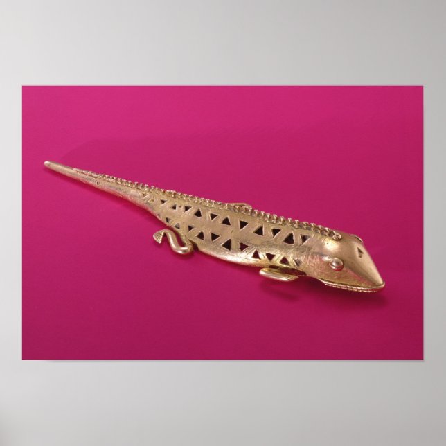 Poster Lizard, de la Colombie (Devant)