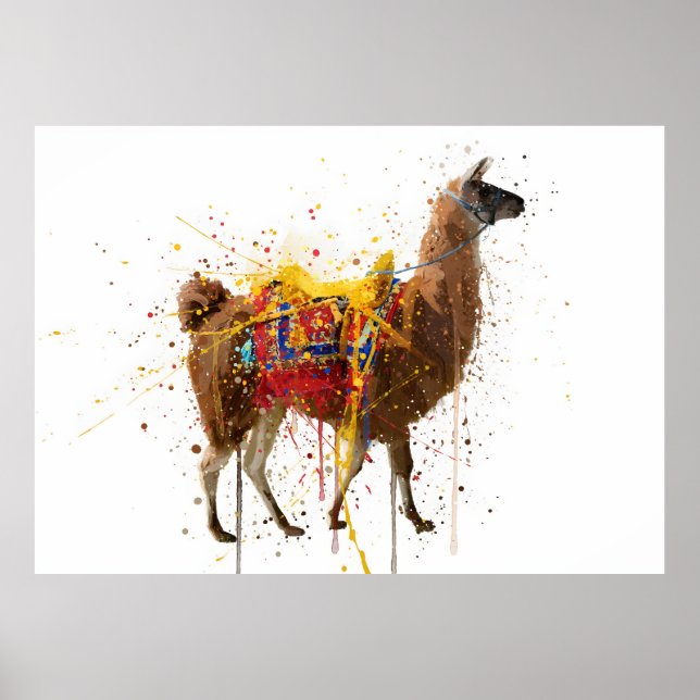 Poster Llama (Devant)
