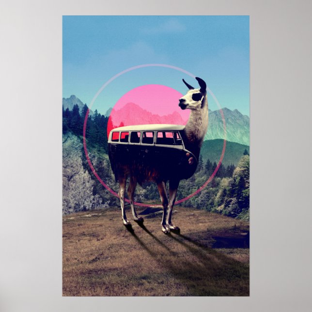 Poster Llama (Devant)