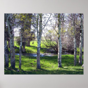 Poster Llama à travers les arbres