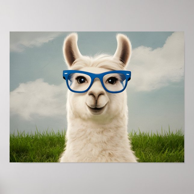 Poster Llama blanche avec lunettes bleues (Devant)