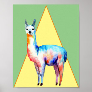 Poster Llama lackadaisical en vedette