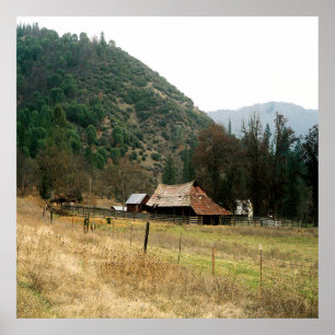 Poster Llama Ranch........