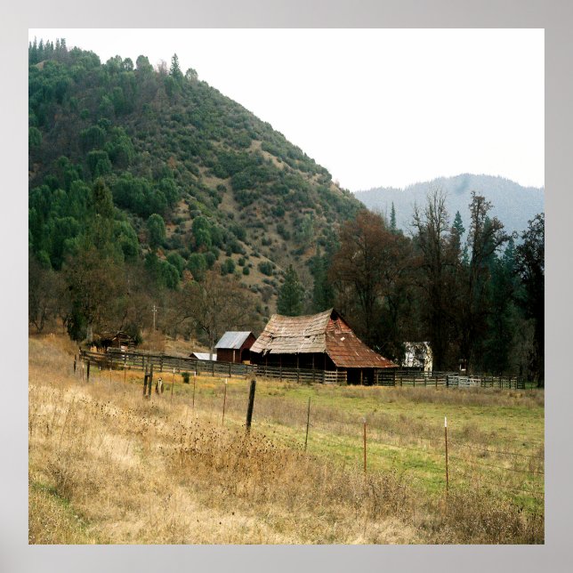 Poster Llama Ranch........ (Devant)