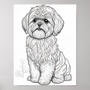 Poster Llasa Apso Chien Adulte Coloration
