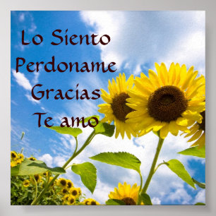 Poster Lo Siento, Perdoname, Gracias, Te Amo