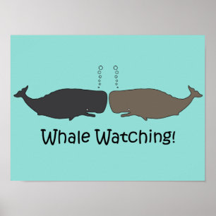 Poster L'observation des baleines amusant