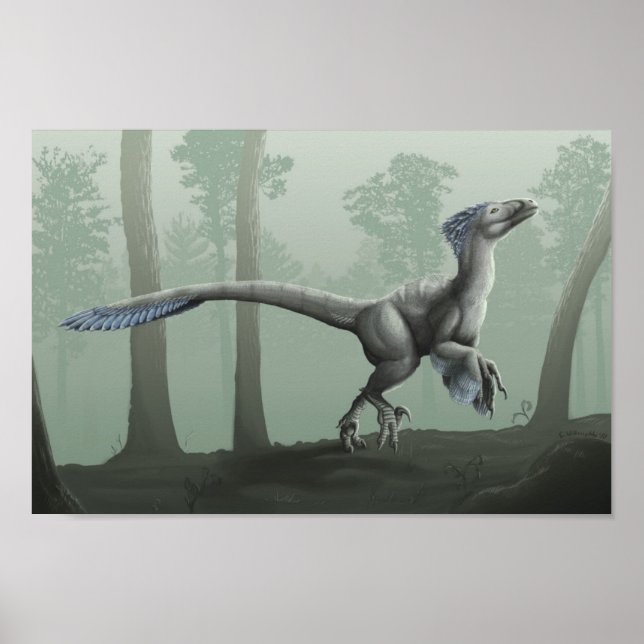 Poster L'odeur de la pluie (Devant)