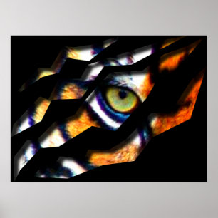 Poster L'Oeil De La Tigre À Travers
