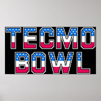 Poster Logo de Tecmo Bowl