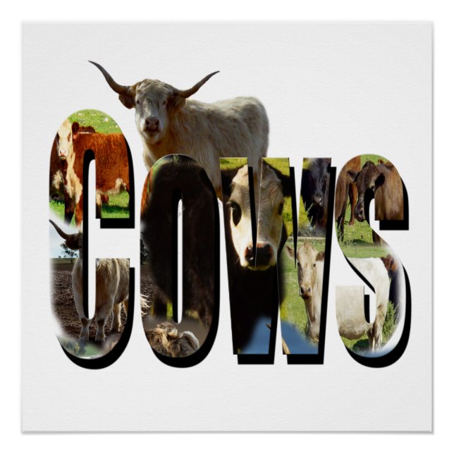 Poster Logo De Vaches Avec Vaches, (Devant)