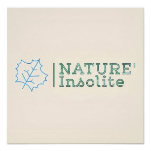 Poster : logo officiel de l'émission