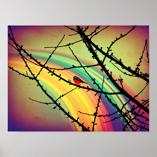 Poster L'oiseau et l'arc en ciel (Devant)