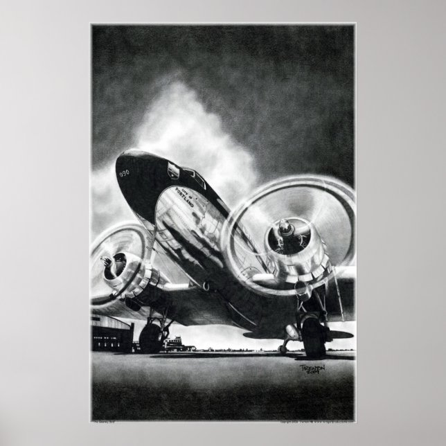 Poster L'oiseau Gooney (Devant)