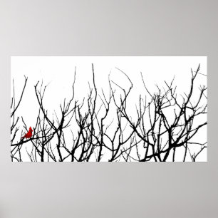 Poster L'oiseau rouge par des poivrons de Leslie