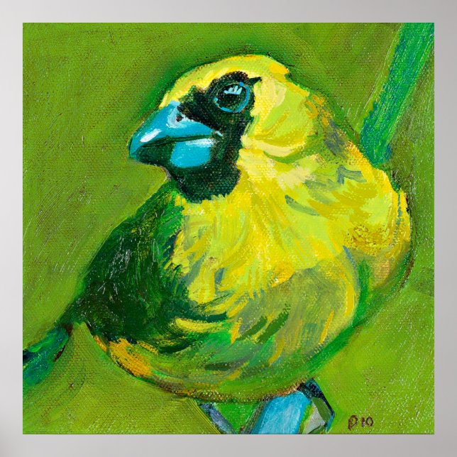 Poster L'Oiseau Vert Au Beak Bleu (Devant)