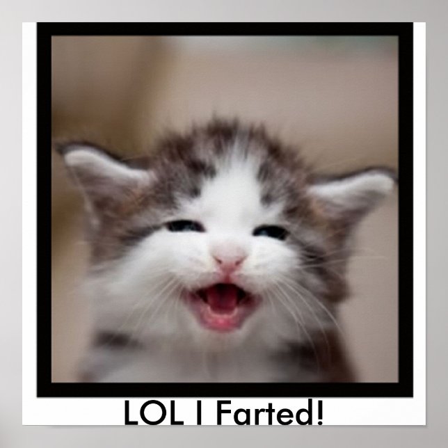 Poster LOL I Farted ! (Devant)