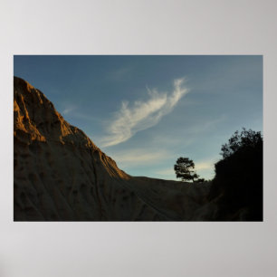 Poster Lone Torrey Pine Californie Sunset Paysage