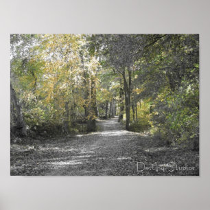 Poster Long chemin