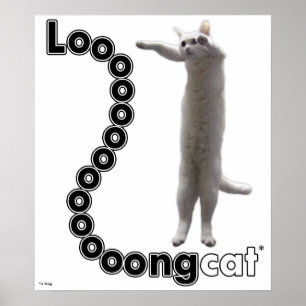 Poster Longcat est long