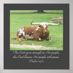 Poster Longhorn 11"x11"