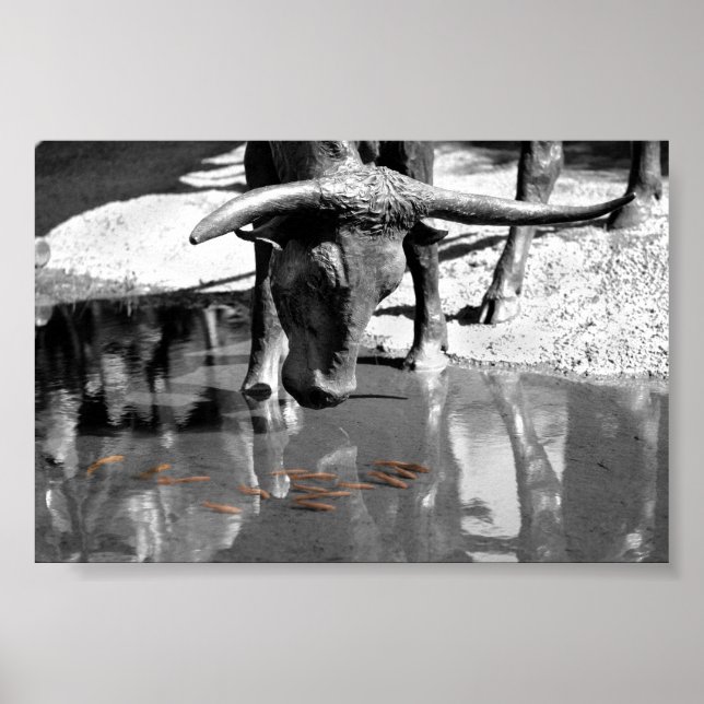 Poster Longhorn et Goldfish (Devant)