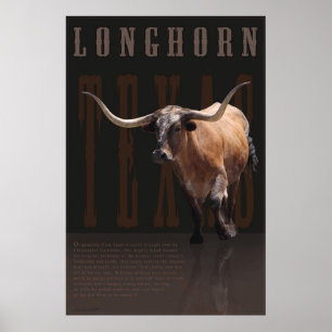 Poster Longhorn Legacy -40x60 -autres tailles auss