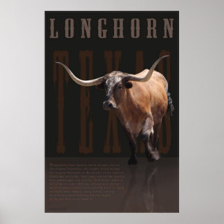 Poster Longhorn Legacy -40x60 -autres tailles auss