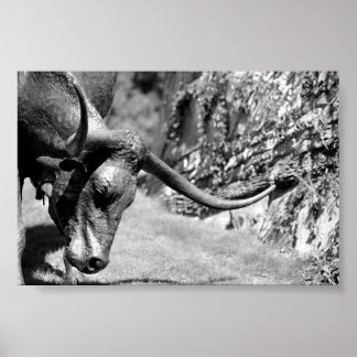 Poster Longhorn Manger