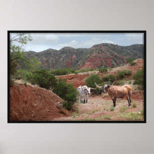 Poster Longhorn Ravine -60x40
