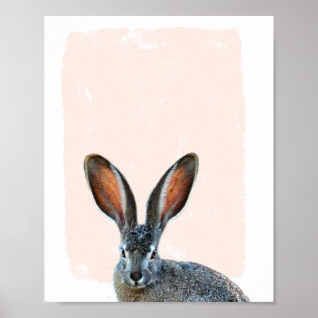 Poster Longue oreille Rabbit Nursery regarder un bol (Devant)