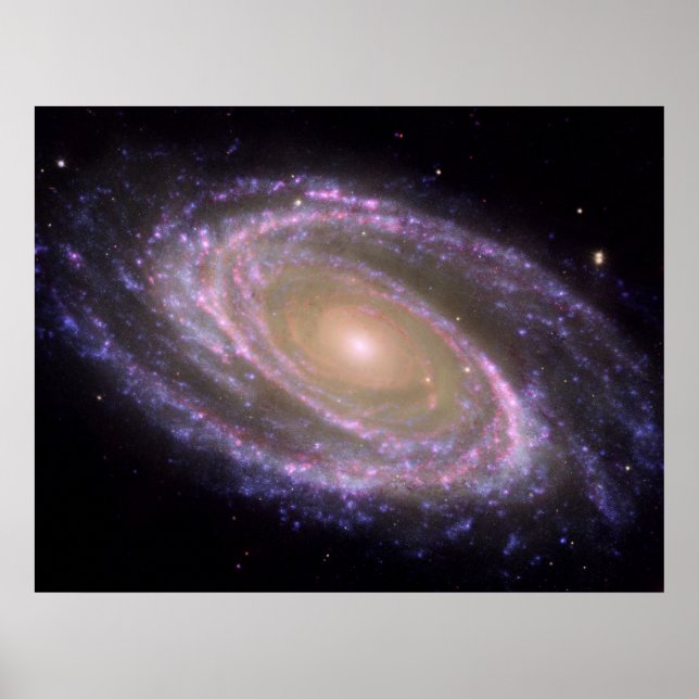 Poster Longueur d'onde M81 (Devant)