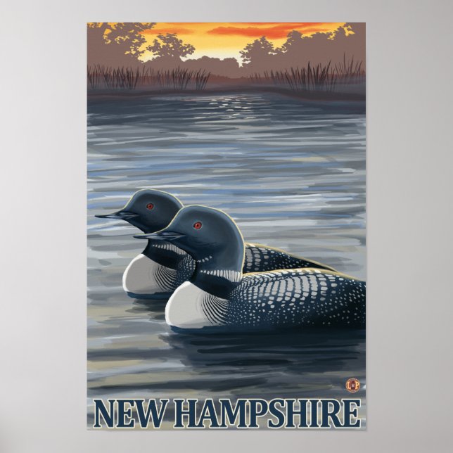 Poster Loon commun du New Hampshire (Devant)