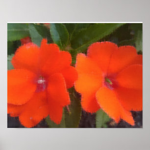 Poster L'orange fleurit 14" x 11", le papier d'affiche