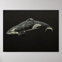 L'Orca