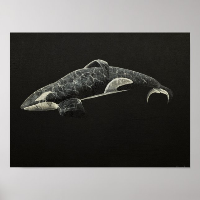 Poster L'Orca (Devant)