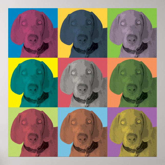 Poster L'ornement pop-art de Weimaraner (Devant)
