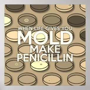 Poster LORSQUE LA VIE VOUS DONNE MOLD FAIRE PENICILLIN Vi