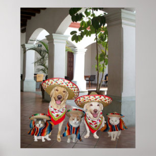 Poster Los amigos