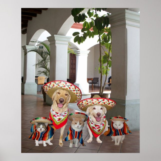 Poster Los amigos (Devant)